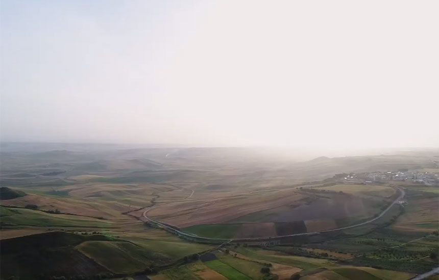 SAI PLATFORM ARRIVA IN ITALIA PER SUPPORTARE A LIVELLO INTERNAZIONALE LO SVILUPPO DI PRATICHE AGRICOLE SOSTENIBILI