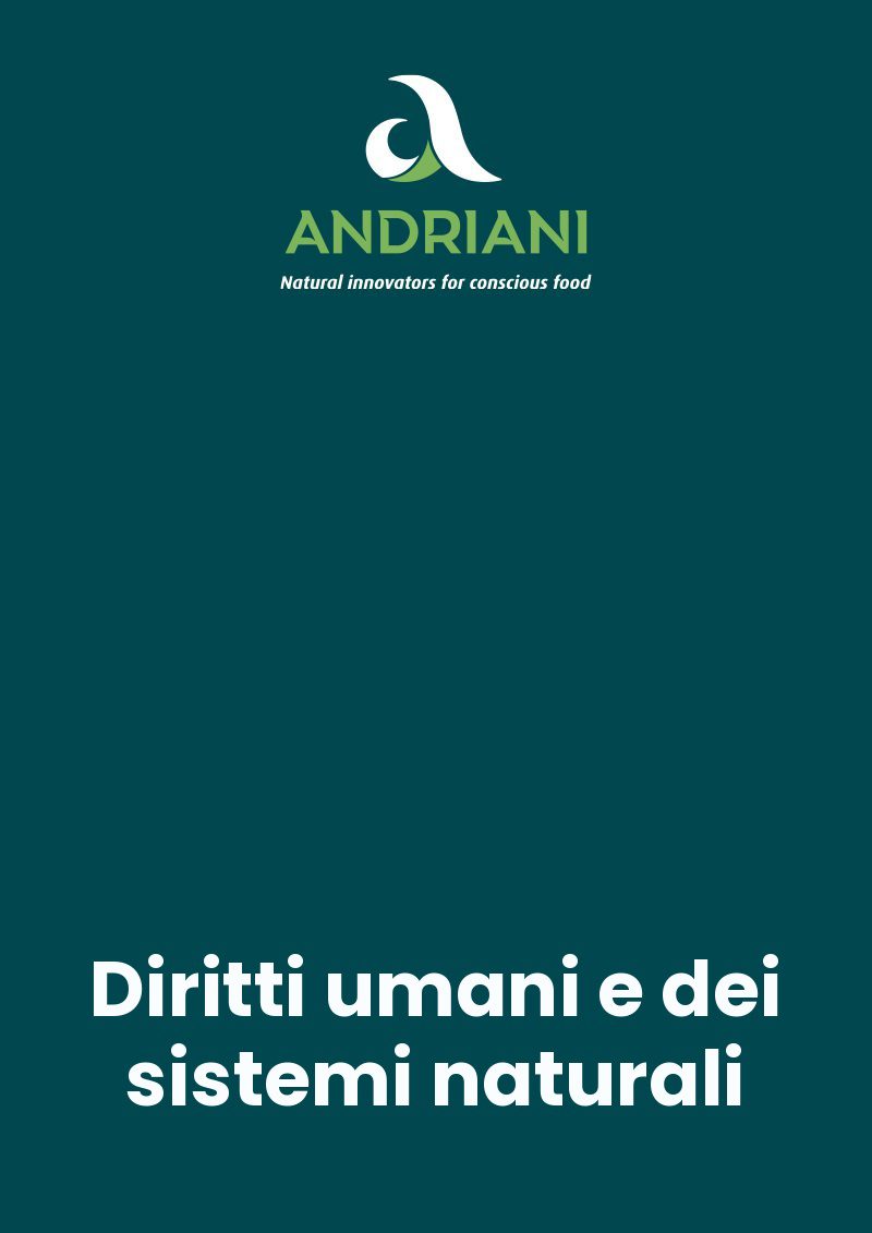 Pubblicazioni